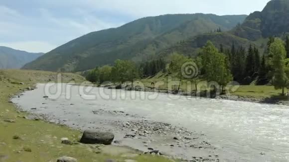 鸟瞰美丽的观景山河在阳光明媚的一天在阿尔泰山牧场的野马俄罗斯视频的预览图