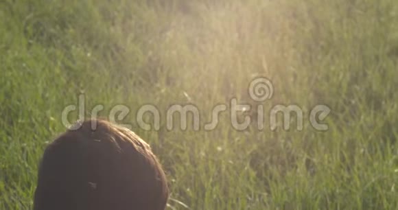 小男孩在看书他坐在草坪中间太阳落山视频的预览图
