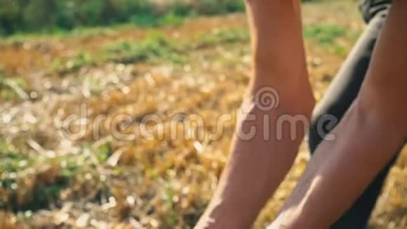 农民手中的粮食在田野的背景下小麦通过人的手指浇灌视频的预览图