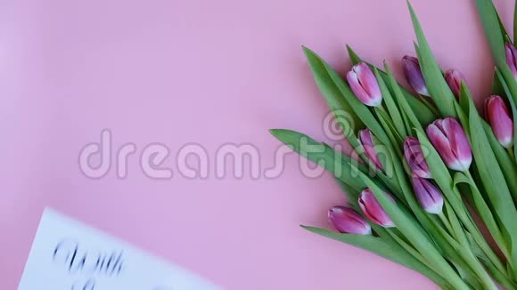 粉红色背景上的郁金香女人把贺卡与文字与爱和礼物直接上图视频的预览图