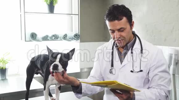 成熟的男性兽医宠物可爱的波士顿小狗检查文件视频的预览图
