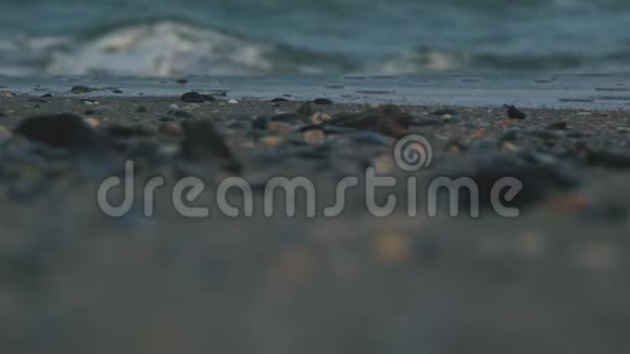 海浪背景下的贝壳视频的预览图