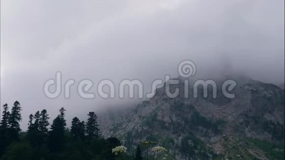 峰峦叠嶂云雾飘浮在青翠的森林里视频的预览图