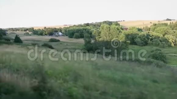 从火车窗口看POV的观点靠近田野和树木视频的预览图