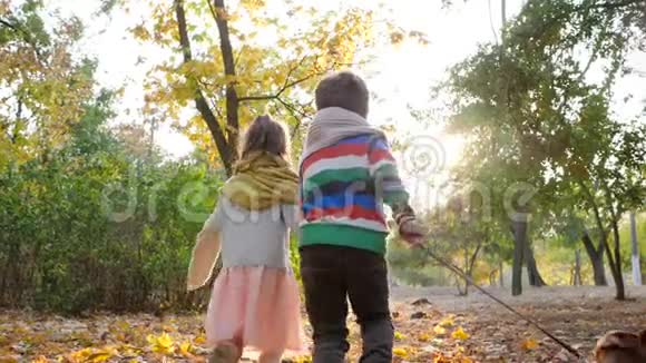 在温暖的秋日公园里姐姐和哥哥带着小狗在背光处奔跑视频的预览图