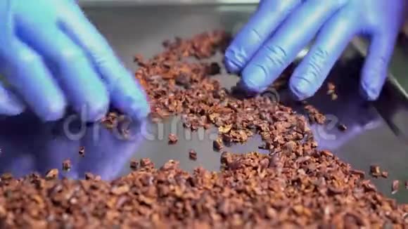 检查可可片所有纤维皮被移除巧克力生产视频的预览图