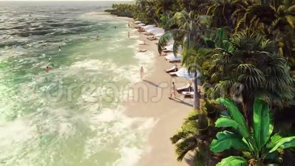 棕榈树在一个热带岛屿上有一个异国情调的白色海滩在阳光明媚的日子里人们沐浴洗澡视频的预览图