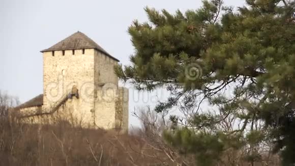 中世纪石塔背景下摇曳的树枝视频的预览图