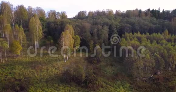 空中无人机视图在日出柔和的光线下飞过森林田野和河流的秋山村喀尔巴阡山视频的预览图