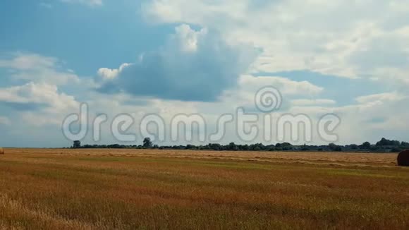 收获时农田里的草包裹着蓝色多云的天空美丽的自然背景微风晴天视频的预览图