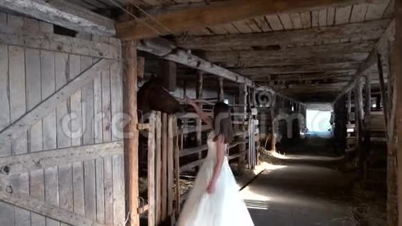 新娘带着马带视频的预览图