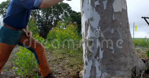 伐木工人在树干4k上喷洒喷雾剂视频的预览图