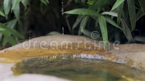 亚洲花园装饰装修视频的预览图