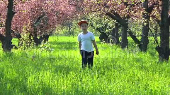 男孩沿着花园里的高草高草慢动作视频的预览图