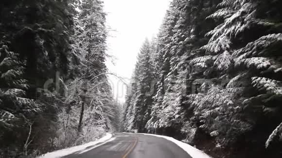在白雪覆盖的树木中缓慢行驶视频的预览图