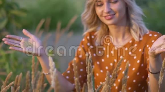迷人的年轻女子双手带着金色的闪光在夕阳下的田野慢动作视频的预览图
