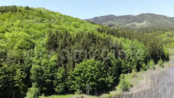 美丽的湖泊和清新的绿色森林空中视频视频的预览图