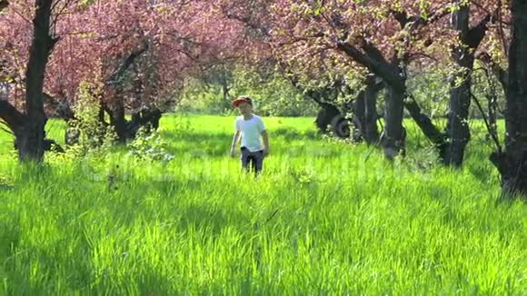 男孩沿着花园里的高草高草慢动作视频的预览图