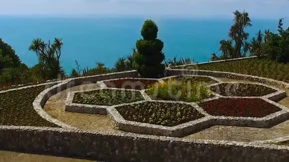美丽的花卉博览会黑海沿岸的巴统植物园春天视频的预览图
