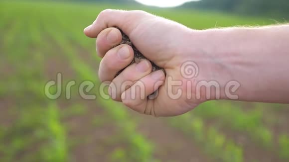 在阳光明媚的日子里男农手牵着一把干地背景模糊的草地视频的预览图