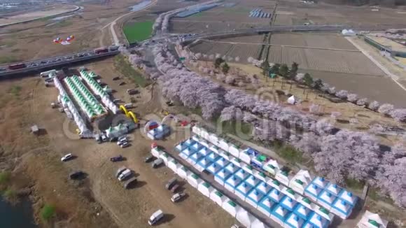 韩国庆州金玉新将军墓樱花节视频的预览图