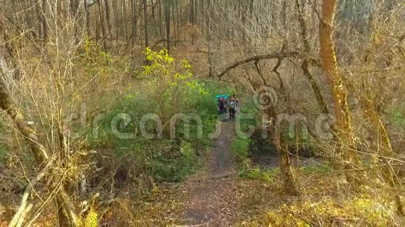 快乐的朋友在美丽的秋天森林徒步旅行视频的预览图