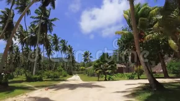 塞舌尔LaDigue异国岛棕榈树和小茅屋景观视频的预览图