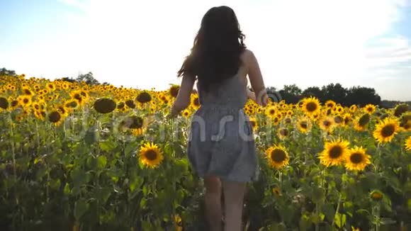 年轻的女孩在黄色的向日葵田上奔跑背景是太阳耀斑穿裙子的女人面目全非视频的预览图