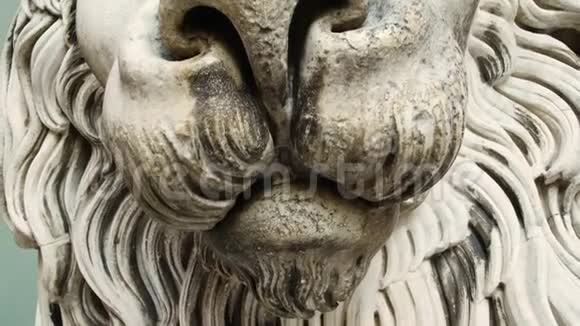 细节狮子雕塑圣洛伦佐大教堂的热那亚圣洛伦佐大教堂大教堂视频的预览图