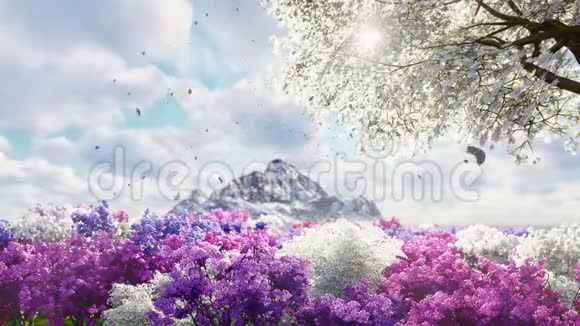 一株樱花在春暖花开的山野背景上绽放旅行和冒险美妙的春天视频的预览图