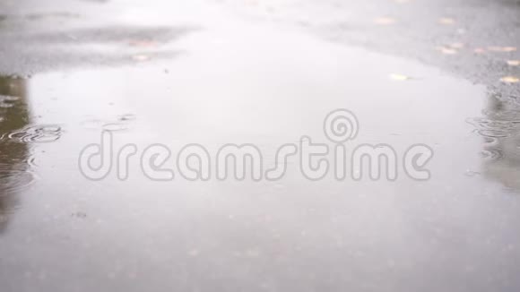 一个穿着黑色皮靴的女孩在雨中缓慢地走在秋天的水坑里视频的预览图