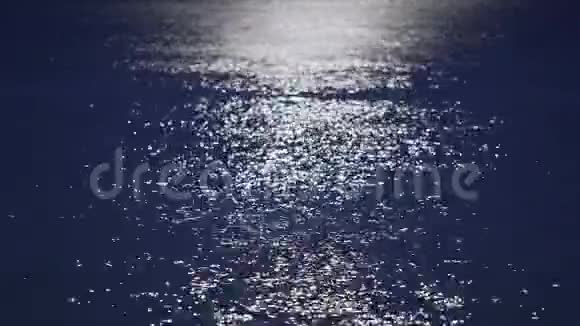 月光反射海面美丽的自然之夜神秘的黑暗视频的预览图
