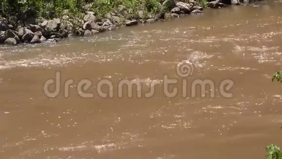 佐治亚州大溪河一个快速流动的大溪河的水中的变焦视频的预览图