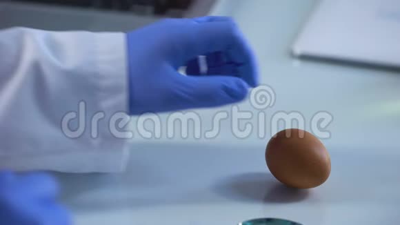 食品专家检查鸡蛋放大镜质量控制批准视频的预览图