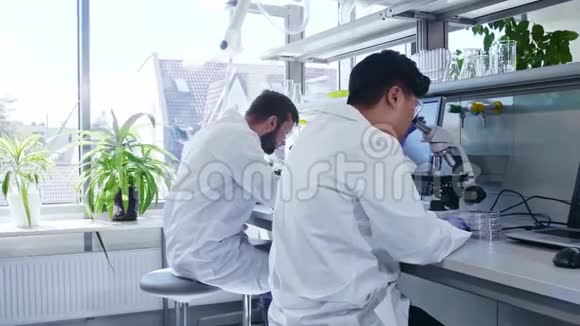 科学家和他的助手在实验室工作博士教学实习生进行分析研究实验室工具视频的预览图