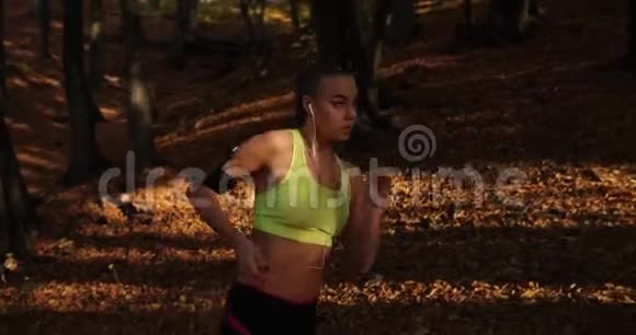 公园里的女跑步者阳光照耀着穿着慢跑服的漂亮女人而她听着音乐跑步视频的预览图