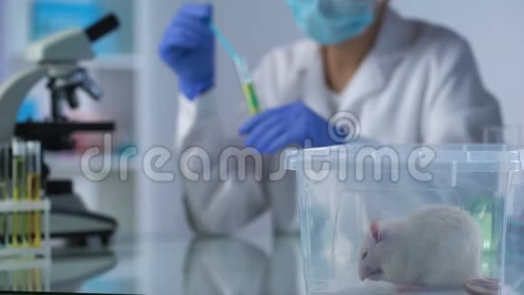 女研究员在试管中混合化学液体测试老鼠的化妆品视频的预览图