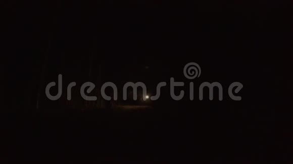 夜晚森林里灯笼的移动视频的预览图