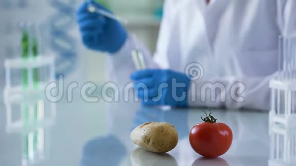 实验室桌上的新鲜番茄和马铃薯工人检查营养质量视频的预览图