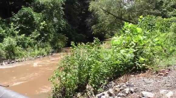 乔治亚州大溪一个水流和鸟鸣声在大溪上放大的镜头视频的预览图
