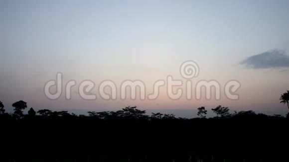 太阳在美丽宁静的稻田里升起视频的预览图