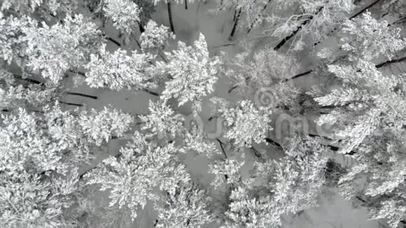 俄罗斯冬季景观摄像机空中镜头地球垂直视频的预览图