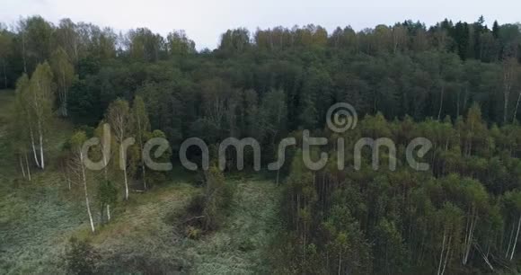 空中无人机镜头取景在日出柔和的光线下飞越秋天的山村森林田野和河流喀尔巴阡山视频的预览图