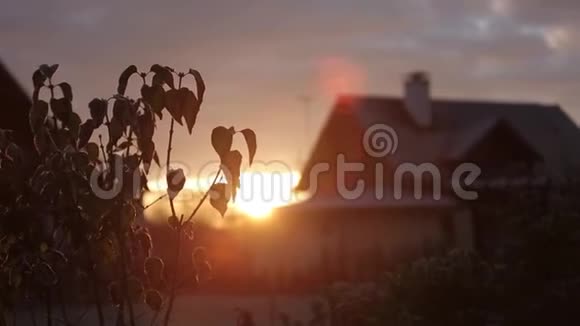 冬天的日出是在村里的树林和冬天的房子的背景下视频的预览图