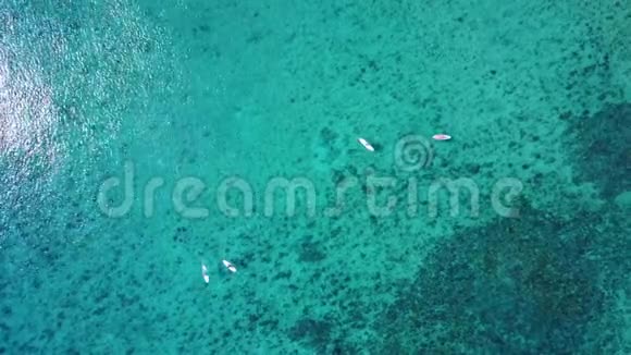 空中无人机射击从鸟瞰珊瑚景色冲浪者站起来划桨登机相机向下看视频的预览图