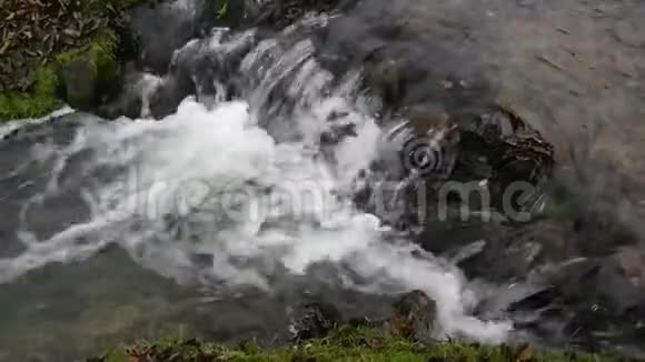 飞云倒映在流入湖中的一条小沼泽小溪的水中视频的预览图