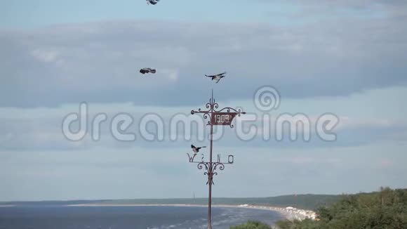 乌鸦在海边玩房子的尖塔视频的预览图