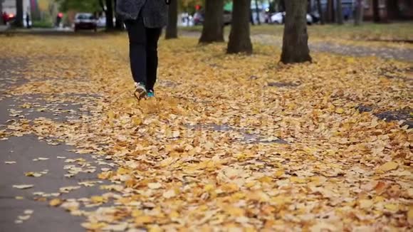 女子双腿在秋天公园的落叶上行走视频的预览图