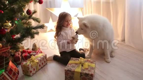 小女孩和狗在圣诞树附近玩耍视频的预览图