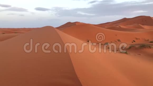 撒哈拉沙漠美丽的沙丘摩洛哥非洲视频的预览图